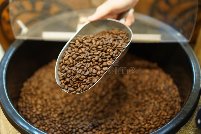 The dark color and rich aroma of coffee beans is loved by millions of coffee drinkers. The dark color and rich aroma of coffee beans is loved by millions of coffee drinkers.