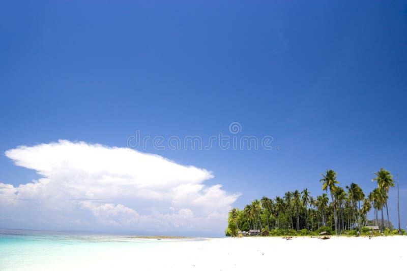 Image of a remote Malaysian tropical island with deep blue skies, crystal clear waters, atap huts and coconut trees. Image of a remote Malaysian tropical island with deep blue skies, crystal clear waters, atap huts and coconut trees.