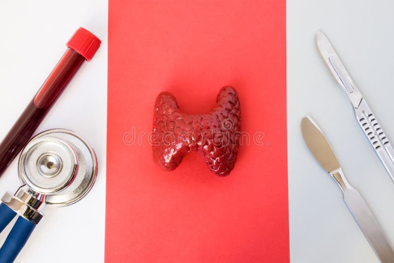 照片诊断、甲状腺手术或者操作想法 甲状腺解剖形象模型在听诊器, laborato附近说谎 库存照片 照片诊断、甲状腺手术或者操作想法 甲状腺解剖形象模型在听诊器, laborato附近说谎 库存照片