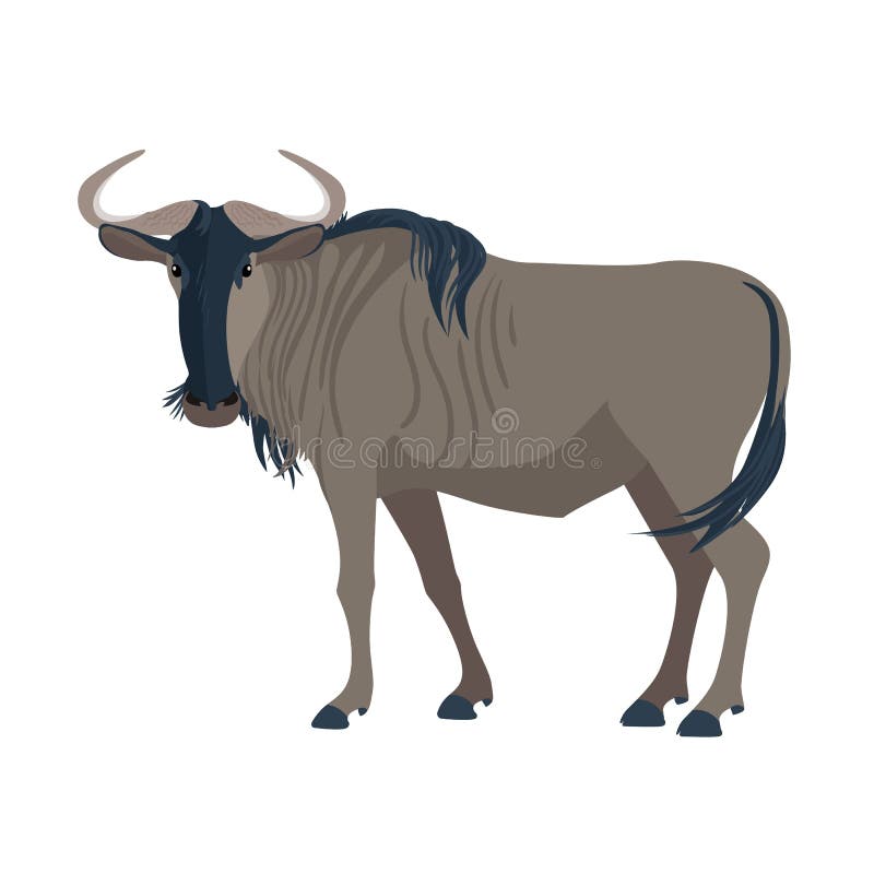 Gnu. African wild mammal . Wild animal in Africa. Vector illustration. Gnu. African wild mammal . Wild animal in Africa. Vector illustration