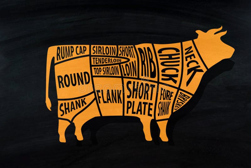 Cut of beef for Butcher shop on blackboard . Cut of beef for Butcher shop on blackboard .