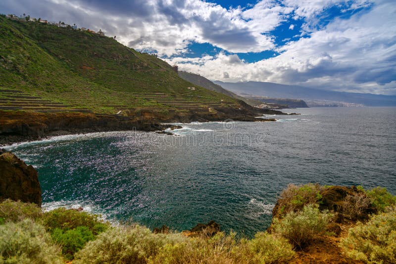 特内里费的El Sauzal海景优美，在与波光粼粼的海洋相伴的悬崖上，郁郁葱葱的绿树成荫 图库摄影