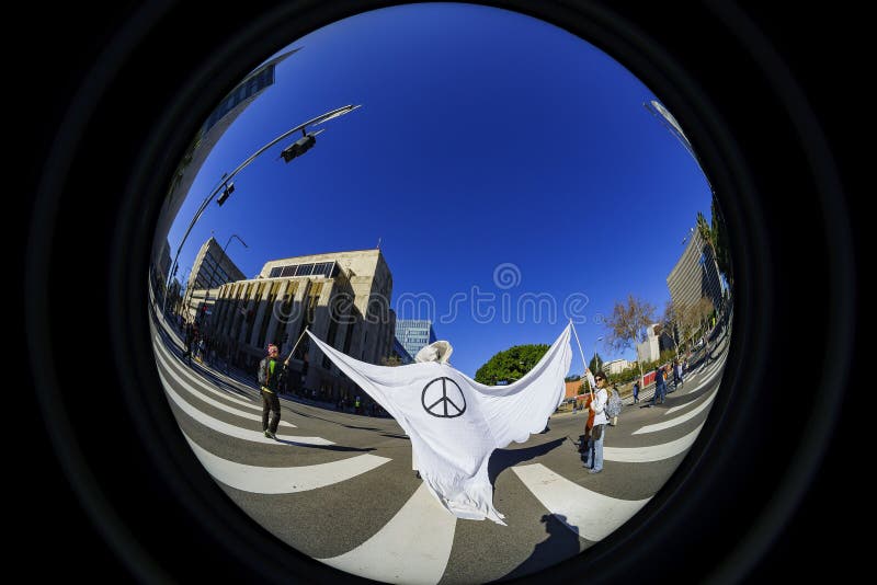特别妇女3月事件和抗议者在洛杉矶附近