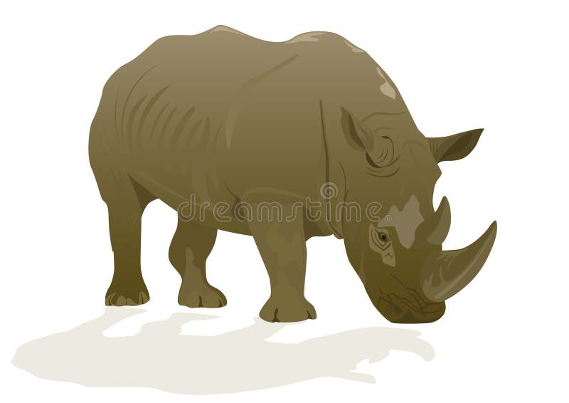 Illustration depicting a rhinoceros on a white background. Illustration depicting a rhinoceros on a white background