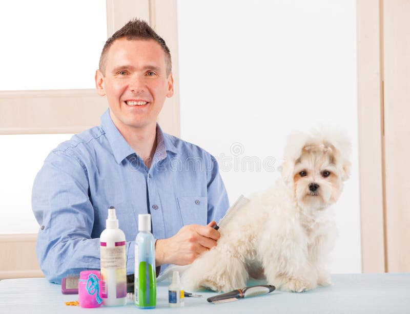 Smiling man grooming a dog purebreed maltese. Smiling man grooming a dog purebreed maltese.