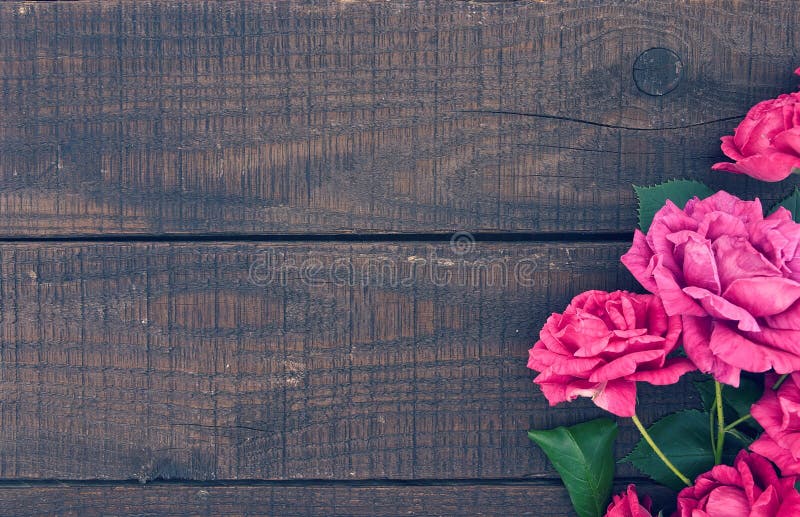 Frame of roses on dark rustic wooden background. Spring flowers. Spring background. Valentine's Day and Mother's Day background. Holiday mock up. Top view. Frame of roses on dark rustic wooden background. Spring flowers. Spring background. Valentine's Day and Mother's Day background. Holiday mock up. Top view.