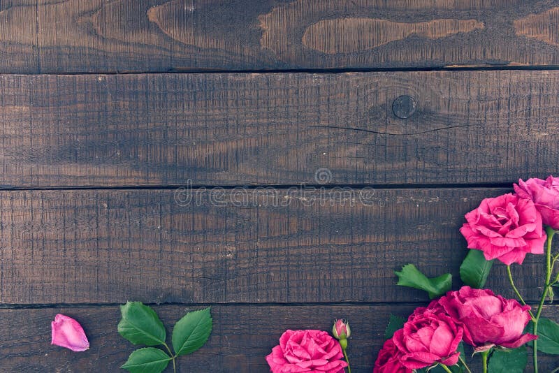 Frame of roses on dark rustic wooden background. Spring flowers. Spring background. Valentine's Day and Mother's Day background. Holiday mock up. Top view. Frame of roses on dark rustic wooden background. Spring flowers. Spring background. Valentine's Day and Mother's Day background. Holiday mock up. Top view.