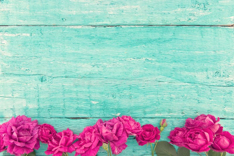 Frame of roses on turquoise rustic wooden background. Spring flowers. Spring background. Valentine's Day and Mother's Day background. Holiday mock up. Top view. Frame of roses on turquoise rustic wooden background. Spring flowers. Spring background. Valentine's Day and Mother's Day background. Holiday mock up. Top view.