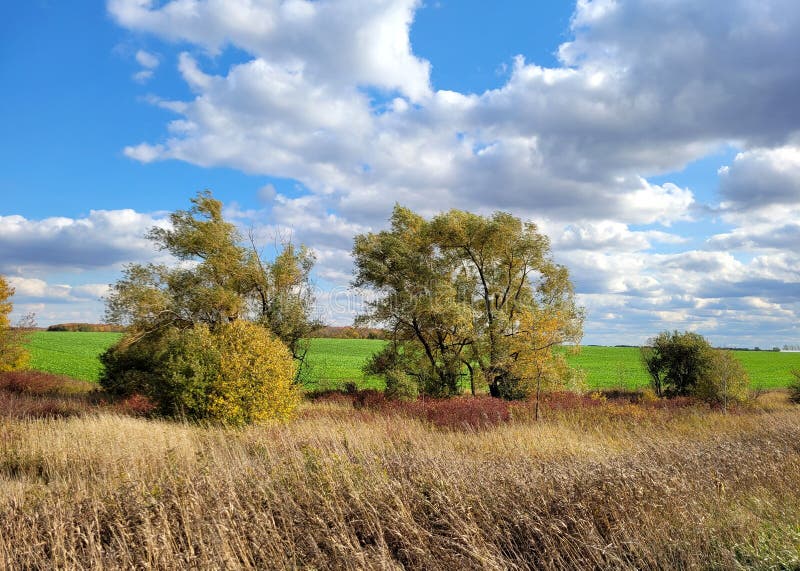 Rural landscape in Perth County is enhanced by blue sky and layered cloud. Rural landscape in Perth County is enhanced by blue sky and layered cloud.