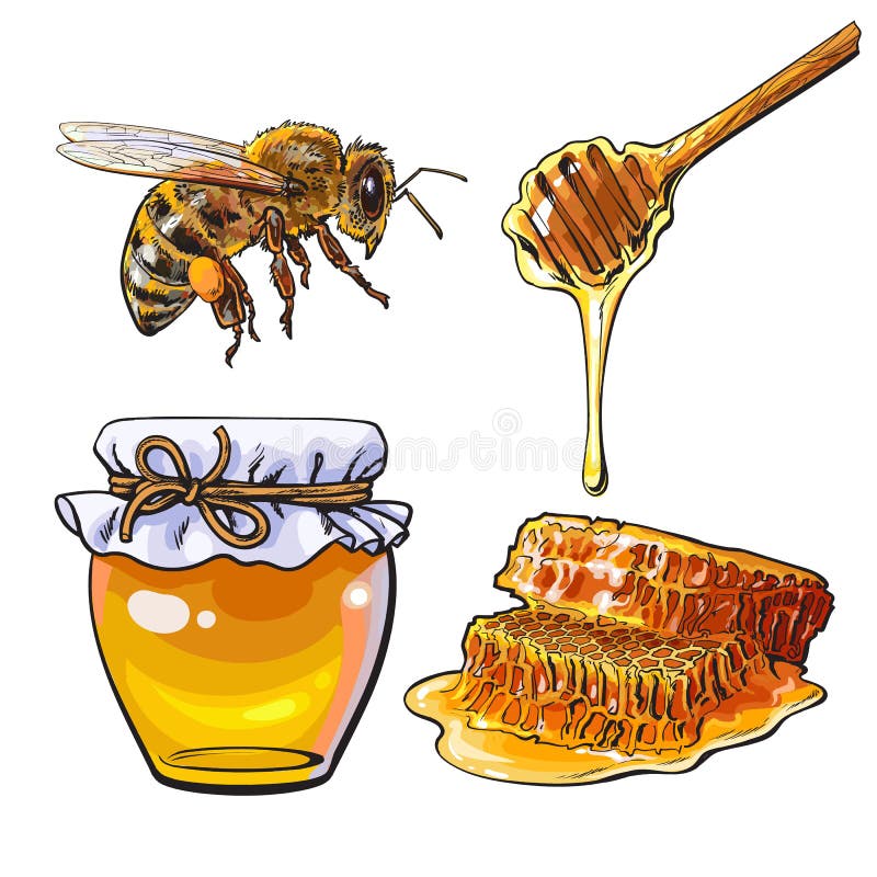 Jar of honey, bee, dipper and honeycomb, sketch style vector illustration on white background. Jar, honey comb, bumble bee and wooden dipper. Honey making symbols, apiary icons. Jar of honey, bee, dipper and honeycomb, sketch style vector illustration on white background. Jar, honey comb, bumble bee and wooden dipper. Honey making symbols, apiary icons