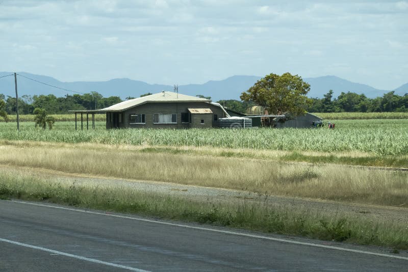 甘蔗围场路边乡村小屋 免版税库存图片
