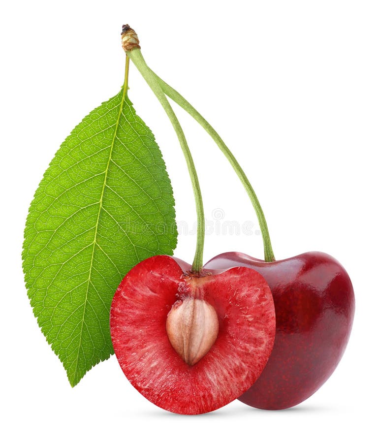 Isolated cherries. Two sweet cherry fruits, one cut in half isolated on white background. Isolated cherries. Two sweet cherry fruits, one cut in half isolated on white background