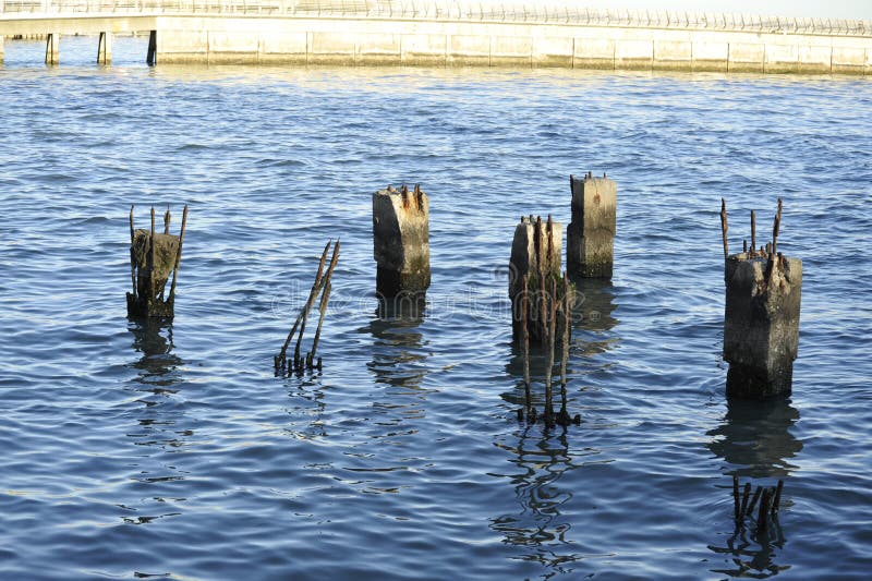 Old peer support posts, abandoned, rotting, and rusting in the San Francisco Bay water. Sharp, dangerous, pointing spears of rusted rebar. Tetanus. Old peer support posts, abandoned, rotting, and rusting in the San Francisco Bay water. Sharp, dangerous, pointing spears of rusted rebar. Tetanus.