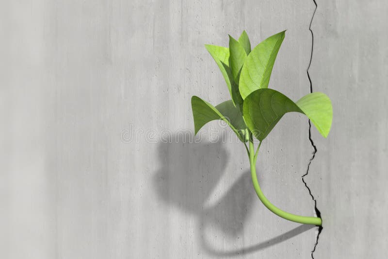 Survival and growth concept of a little 3d render of a plant in a concrete wall. Survival and growth concept of a little 3d render of a plant in a concrete wall