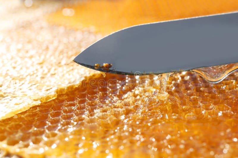 Uncapped comb with knife and fresh sweet honey. Uncapped comb with knife and fresh sweet honey