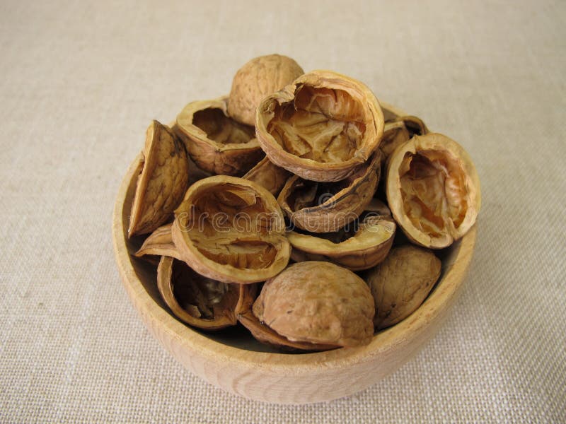 用半贝核桃壳制成的工艺品 免版税库存图片