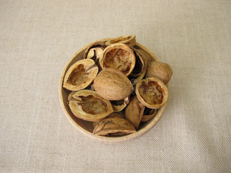用半贝核桃壳制成的工艺品 库存图片