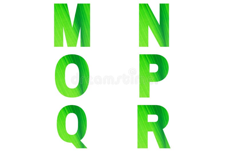 Green font Alphabet m, n, o,p, q, r made of natural banana`s leaf background. Green font Alphabet m, n, o,p, q, r made of natural banana`s leaf background.