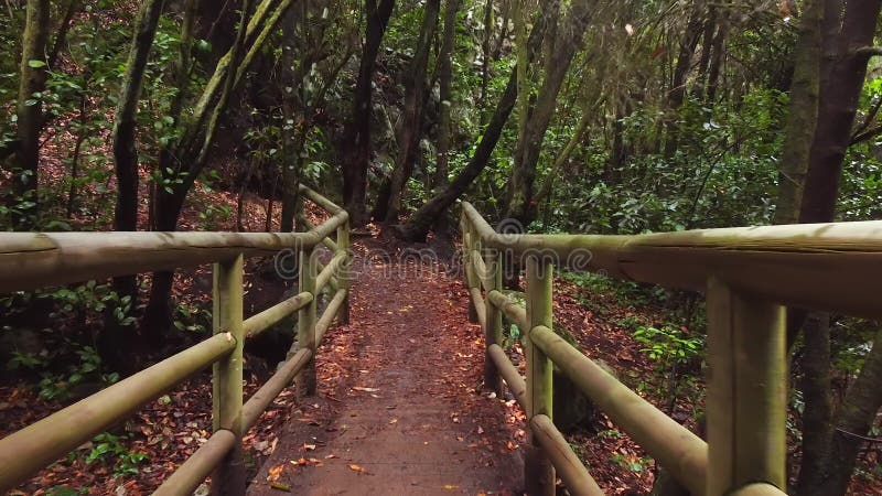 田园风景. 木桥和人行道.