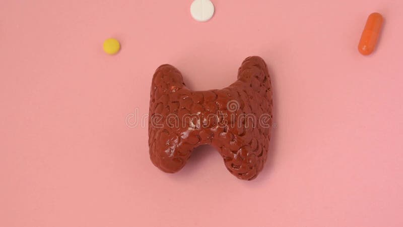 甲状腺概念视频的处理. 从上降药丸胶囊和medi看甲状腺解剖形态 股票视频