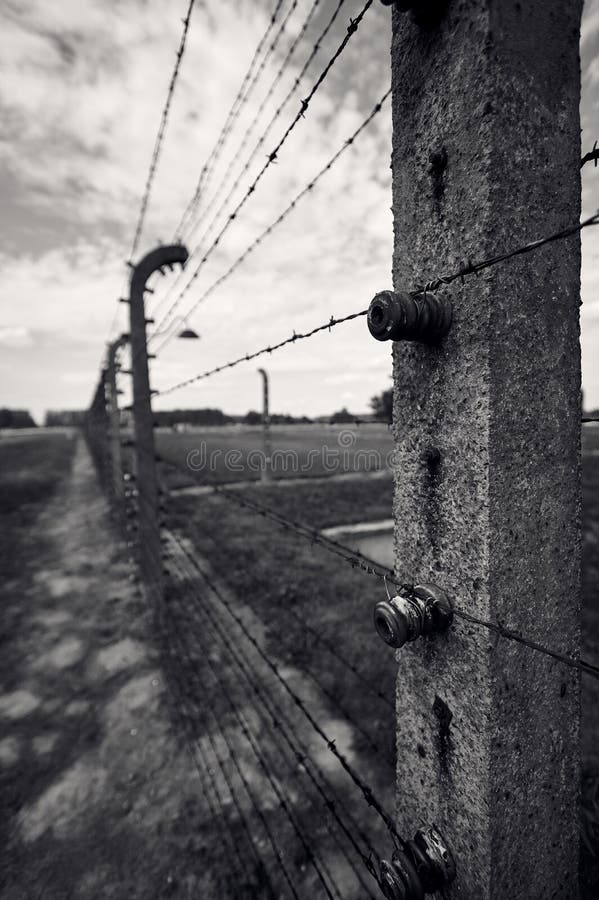 Detail of an electrified wire fence of a Nazi concentration camp. Detail of an electrified wire fence of a Nazi concentration camp