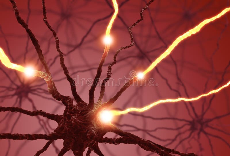 Interconnected neurons transferring information with electrical pulses. Interconnected neurons transferring information with electrical pulses.
