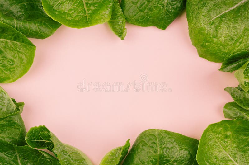 Leaves spinach as frame on pink background. Healthy dieting spring food. Leaves spinach as frame on pink background. Healthy dieting spring food