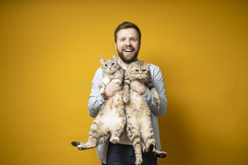 留着胡子的快乐主人拥抱他那两只可爱的猫，其中一只感兴趣地看着，另一只愤怒 爱的概念