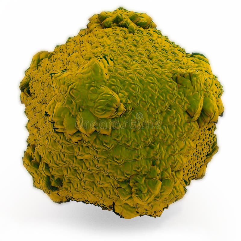 An illustration of the Rhinovirus. They are the most common viral infective agents in humans and are the predominant cause of the common cold. Though this 3D illustration would appear to depict a larger entity, they are only about 30 nanometers in diameter. An illustration of the Rhinovirus. They are the most common viral infective agents in humans and are the predominant cause of the common cold. Though this 3D illustration would appear to depict a larger entity, they are only about 30 nanometers in diameter.