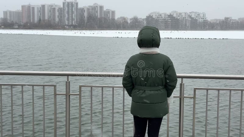 白人女青年在雪天在城市湖边散步，看鸟 股票录像