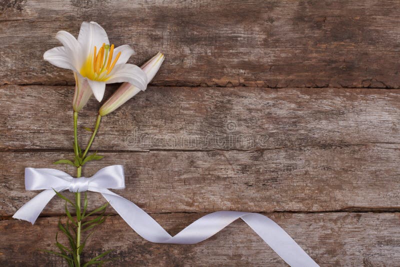 用蝴蝶结装饰的白色百合花节日相框 免版税库存照片