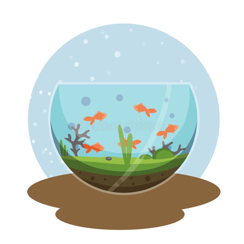 Transparent aquarium with golden fish vector cartoon illustration isolated on white. Fish aquarian house underwater tank bowl. Home aquarium system with water and plants for print or web. Transparent aquarium with golden fish vector cartoon illustration isolated on white. Fish aquarian house underwater tank bowl. Home aquarium system with water and plants for print or web.