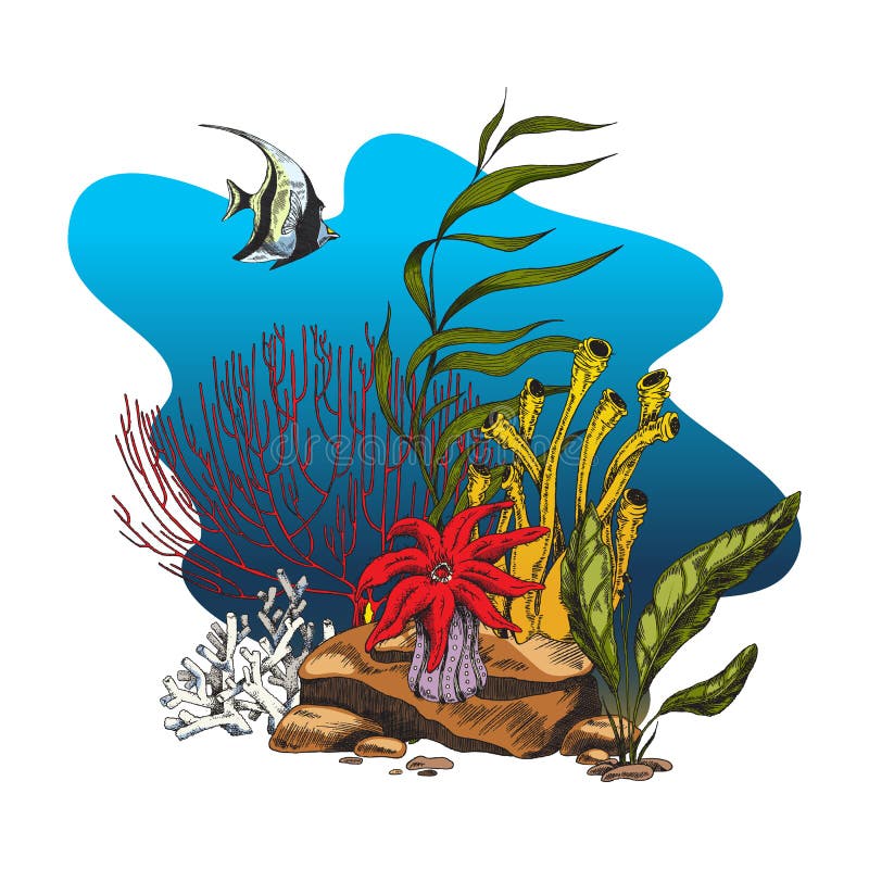 サンゴ、サンゴ礁、岩、魚、自然、世界の海、イラスト。AIで生成