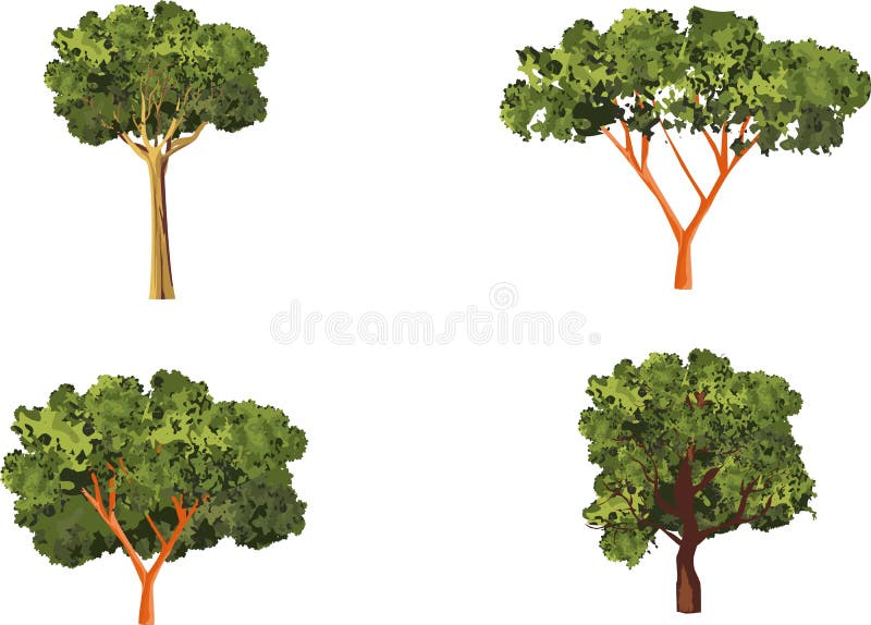 白色隔离的树群 库存图片