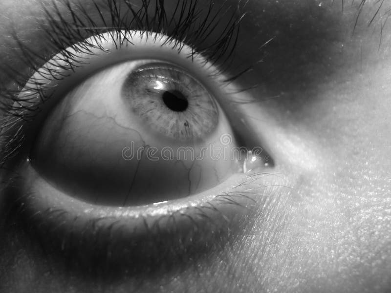 Eye closeup of a young girl. Eye closeup of a young girl