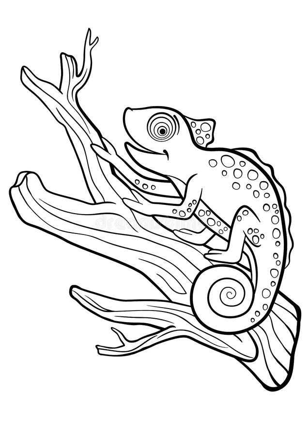 Coloring pages. Wild animals. Little cute chameleon sits on the tree branch and smiles. Coloring pages. Wild animals. Little cute chameleon sits on the tree branch and smiles.