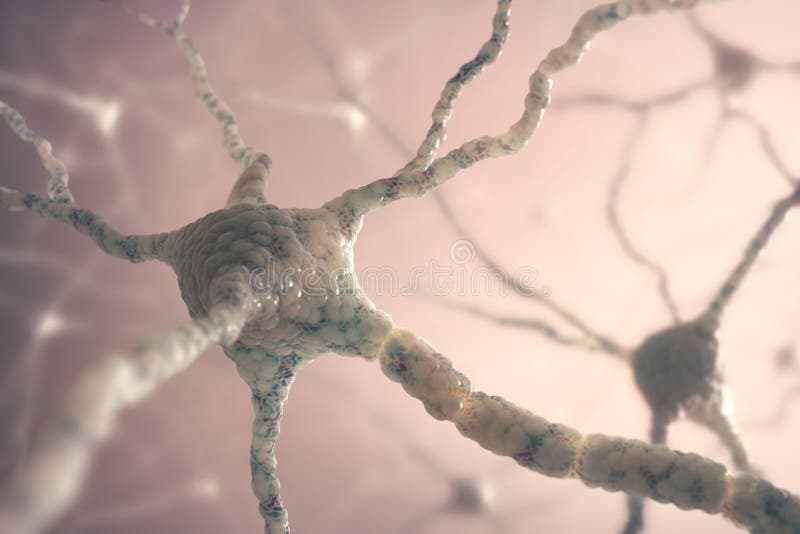 Image concept of neurons from the human brain. Image concept of neurons from the human brain.