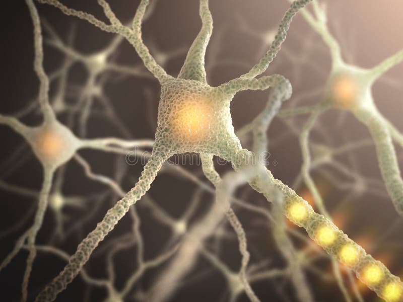 Interconnected neurons transferring information with electrical pulses. Interconnected neurons transferring information with electrical pulses.