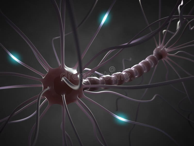 Interconnected neurons transferring information with electrical pulses. Interconnected neurons transferring information with electrical pulses.