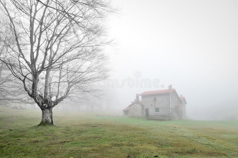 神奇房子在有雾的森林里