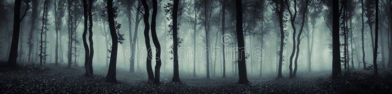 Mysterious foggy forest panorama. Dark haunted forest with fog scene. Panorama of surreal woods with fog and mysterious light through trees. Mysterious foggy forest panorama. Dark haunted forest with fog scene. Panorama of surreal woods with fog and mysterious light through trees