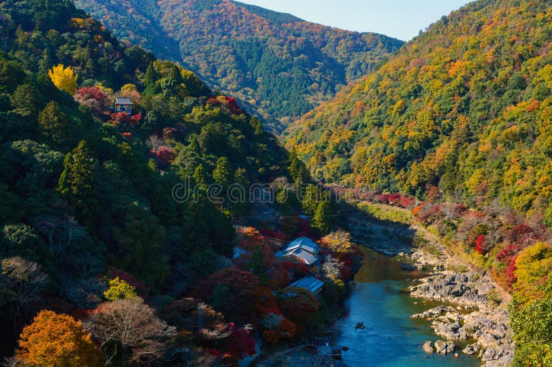 秋天上色了沿Katsura河的森林京都,在秋天期间的日本的Arashiyama零件的 图库摄影 秋天上色了沿Katsura河的森林京都,在秋天期间的日本的Arashiyama零件的 图库摄影