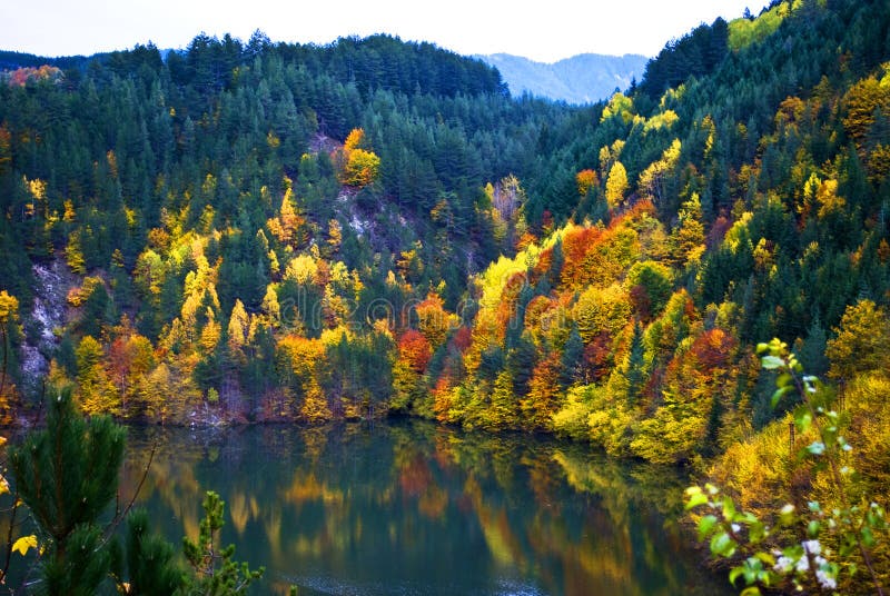 Colorful autumn trees reflected on a lake in Bulgaria. Colorful autumn trees reflected on a lake in Bulgaria