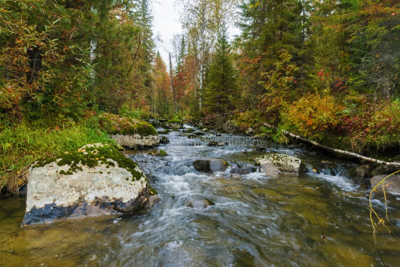 Autumn stream inflowing to Nichka river. Eastern Sayan range, Krasnoyarsk region, Siberia, Russia. Horizontal shot. Autumn stream inflowing to Nichka river. Eastern Sayan range, Krasnoyarsk region, Siberia, Russia. Horizontal shot