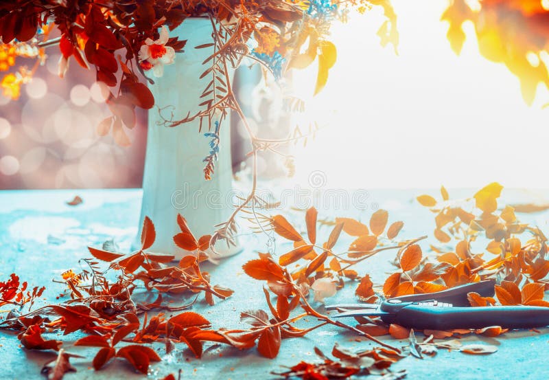 秋天开花束和花瓶在蓝色桌上与阳光 舒适家庭室内装璜 仍然秋天生活
