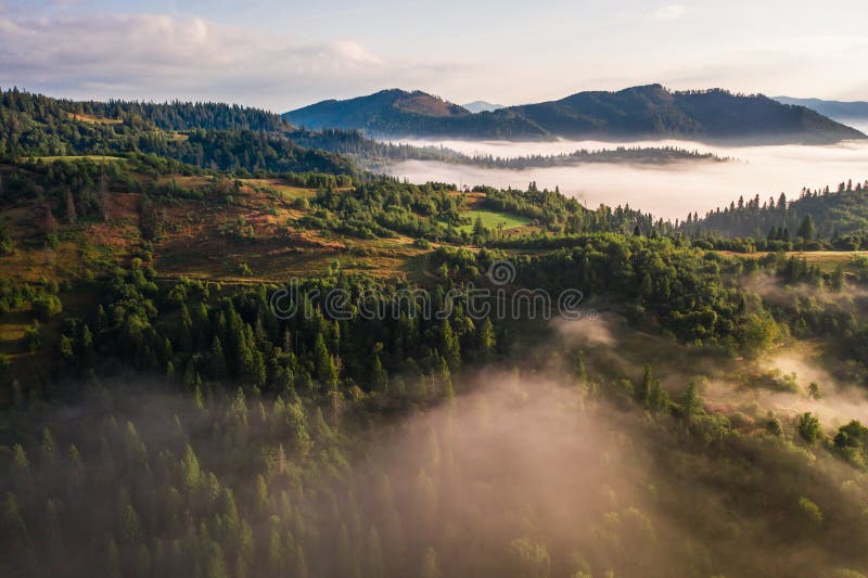 秋日美丽晨雾笼罩彩色混合林的天空景观 免版税库存图片