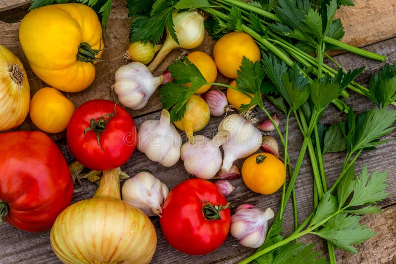 Farm vegetables for health tomatoes, celery, garlic environmentally friendly on a wooden board. Farm vegetables for health tomatoes, celery, garlic environmentally friendly on a wooden board