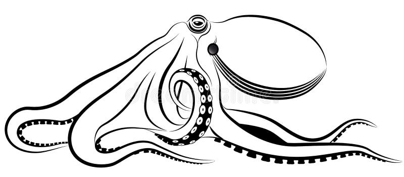 Vector octopus represented in the form of a tattoo. Vector octopus represented in the form of a tattoo.