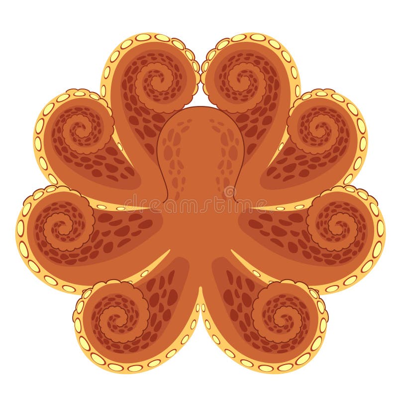 Symmetric octopus with spiral tentacles. Symmetric octopus with spiral tentacles