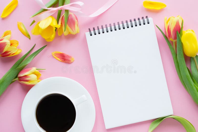笔记本电脑咖啡彩色Tulip 库存图片